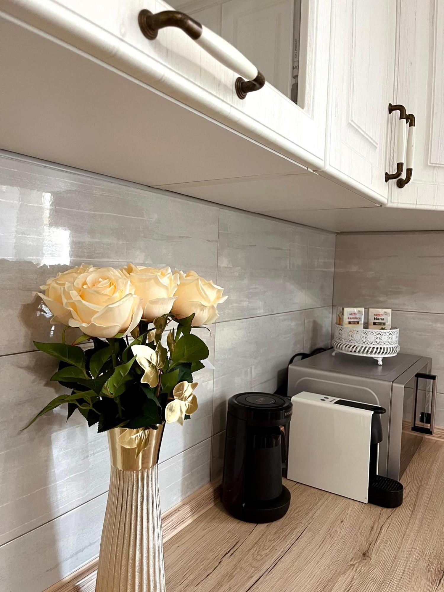 Lumo Apartment Nis Luaran gambar